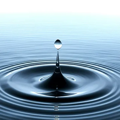 Illustration consummating - Image 1