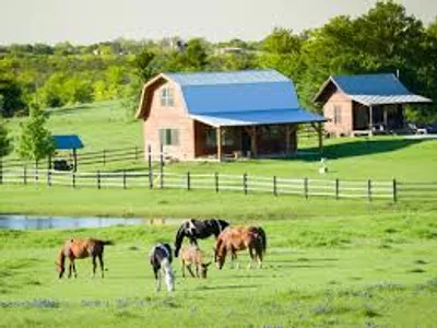 Illustration ranch - Image 2