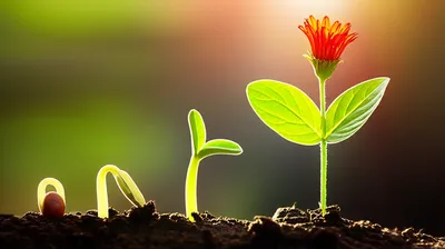 Illustration flowering - Image 1