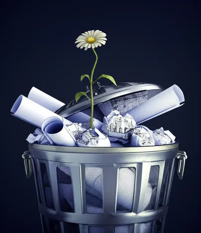 Illustration kin - Image 1