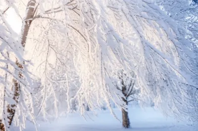 Illustration rimes - Image 1