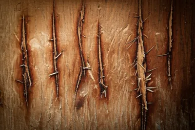 Illustration scram - Image 1