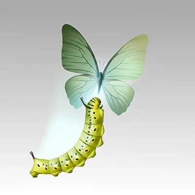 Illustration transforms - Image 1