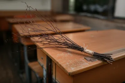 Illustration rod - Image 1