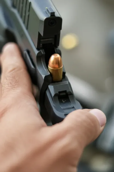 Illustration chambered - Image 1