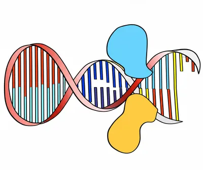 Illustration transcription - Image 1