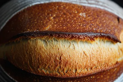 Illustration crust - Image 1