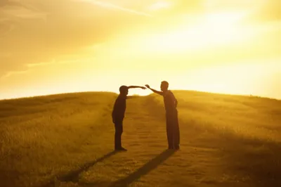 Illustration rapports