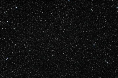 Illustration black - Image 1