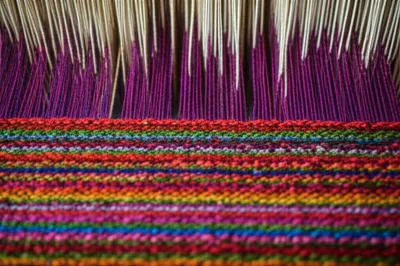 Illustration fillings - Image 1