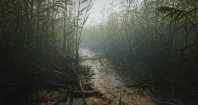 Illustration soils - Image 1