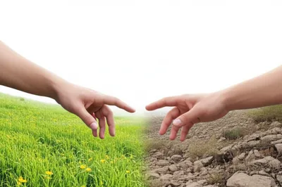 Illustration borders - Image 1