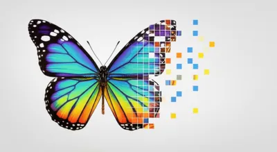 Illustration rasterized