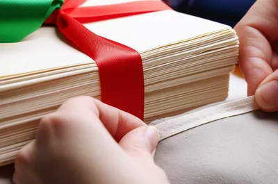 Illustration ferret - Image 1