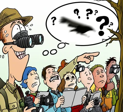 Hình ảnh minh họa string - Ảnh 1