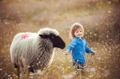 Illustration gentlest - Image 1