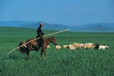 Illustration nomadic - Image 2