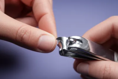 Illustration nail clipper - Image 1