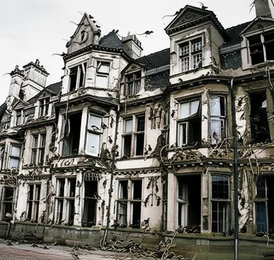 Illustration infested