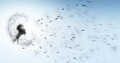 Illustration dispersed