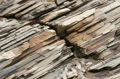 Illustration slides - Image 1