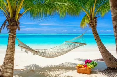 Illustration desirable - Image 1