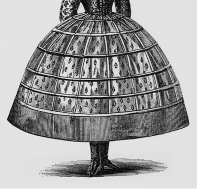 Illustration crinoline - Image 1
