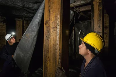 Illustration deputies - Image 1