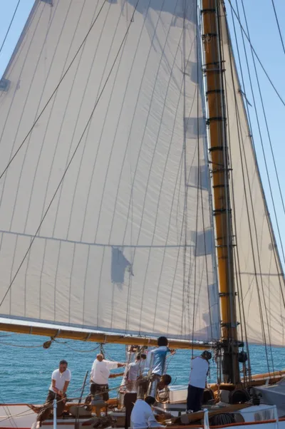 Illustration brails - Image 1