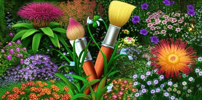 Illustration talents