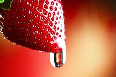 Illustration heat - Image 1