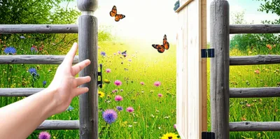 Illustration allowing - Image 1