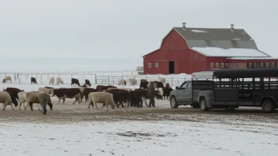 Illustration stocker