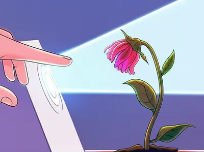 Illustration responds - Image 1