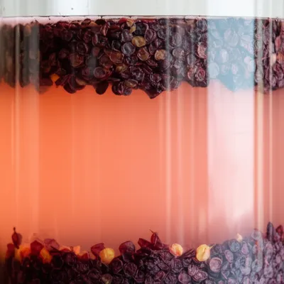 Illustration rose - Image 1