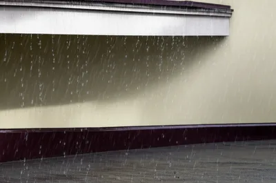 Illustration cornish