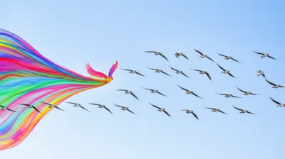 Illustration licences - Image 1