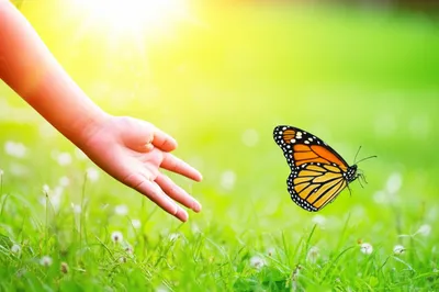 Illustration age - Image 1