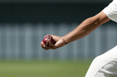 Illustration picking - Image 1