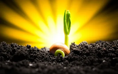 Illustration awakened - Image 1