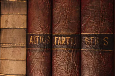 Illustration bindings - Image 2