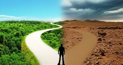 Illustration turns - Image 1