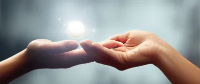 Illustration tribute