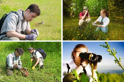 Illustration fieldworks - Image 2