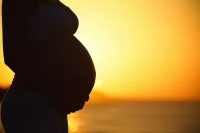 Illustration bellied - Image 1