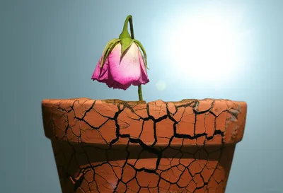 Illustration consume - Image 1