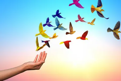 Illustration lets - Image 1