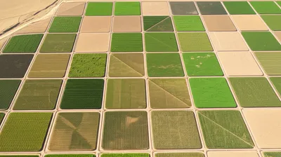 Illustration gridded - Image 1