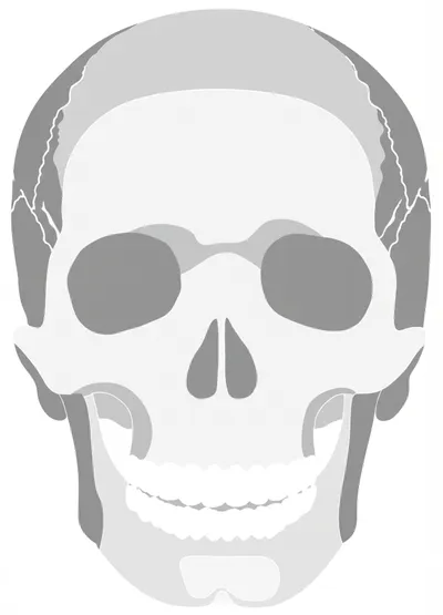 Illustration frontal - Image 1