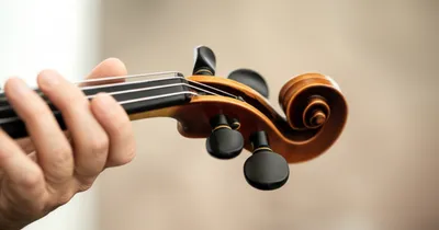 Illustration whit - Image 1